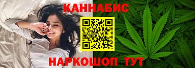 спиды Гай