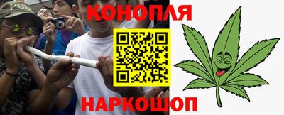 спиды Гай