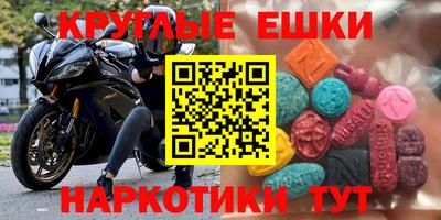 спиды Гай