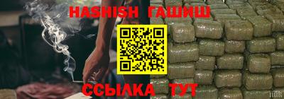 спиды Гай