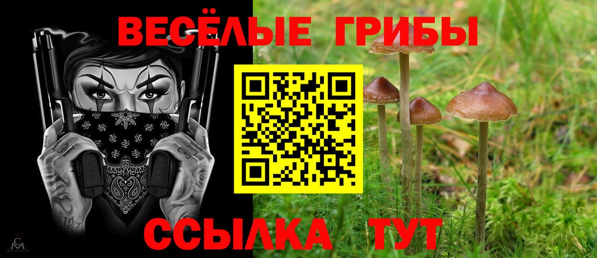 Галлюциногенные грибы GOLDEN TEACHER Гатчина