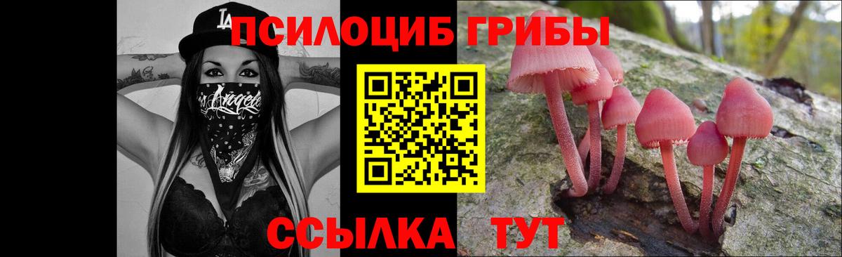Псилоцибиновые грибы прущие грибы  Вход с VPN  Гатчина 